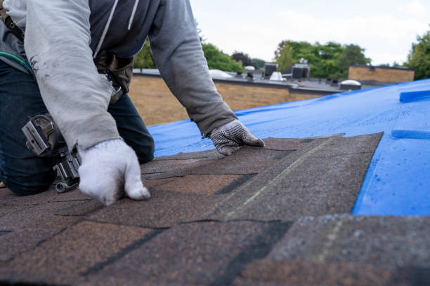 Best Slate Roofing Contractor  in Fkville, AL