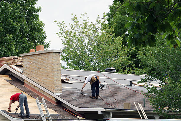 Best Roof Gutter Cleaning  in Fkville, AL